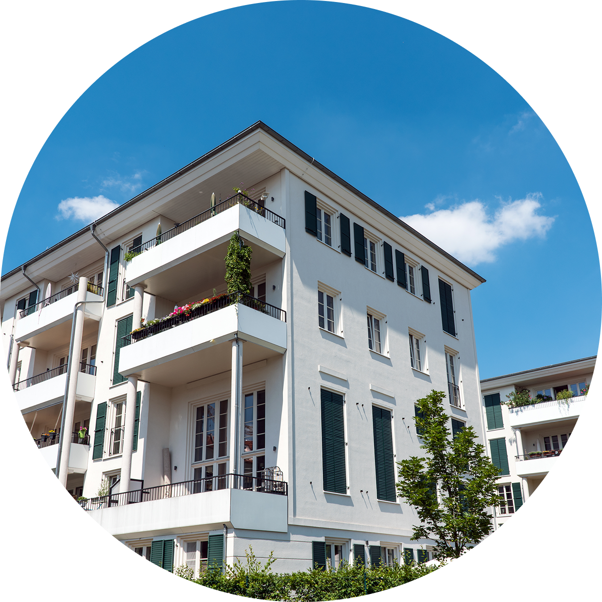 Madonna University Logo